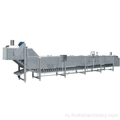 Blanching Machine в фруктовом и овощном оборудовании